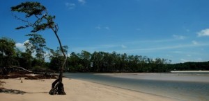 Praia da Barra Velha