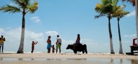 Guia de viagem para Ilha de Marajó – Belém