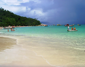 campeche_reprodução