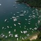 Guia – Melhores praias de Angra dos Reis