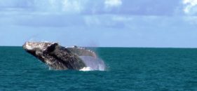 Turismo em Caravelas na Bahia