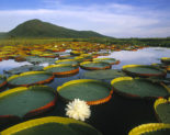 Turismo em Portugal  As melhores pousadas do Pantanal